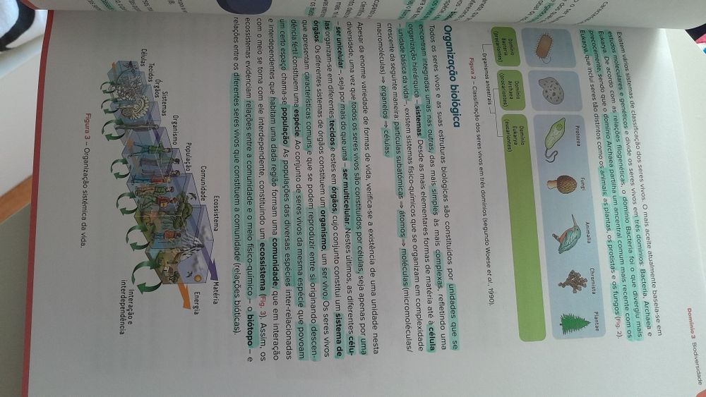 Exame biologia e geologia