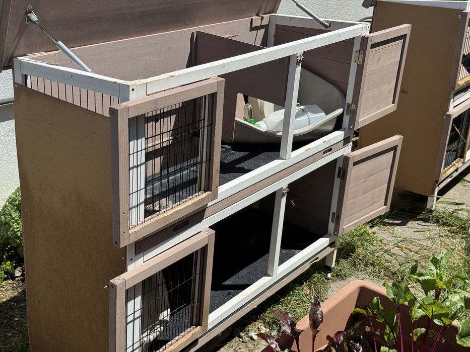 3 coelheiras grandes com acessórios