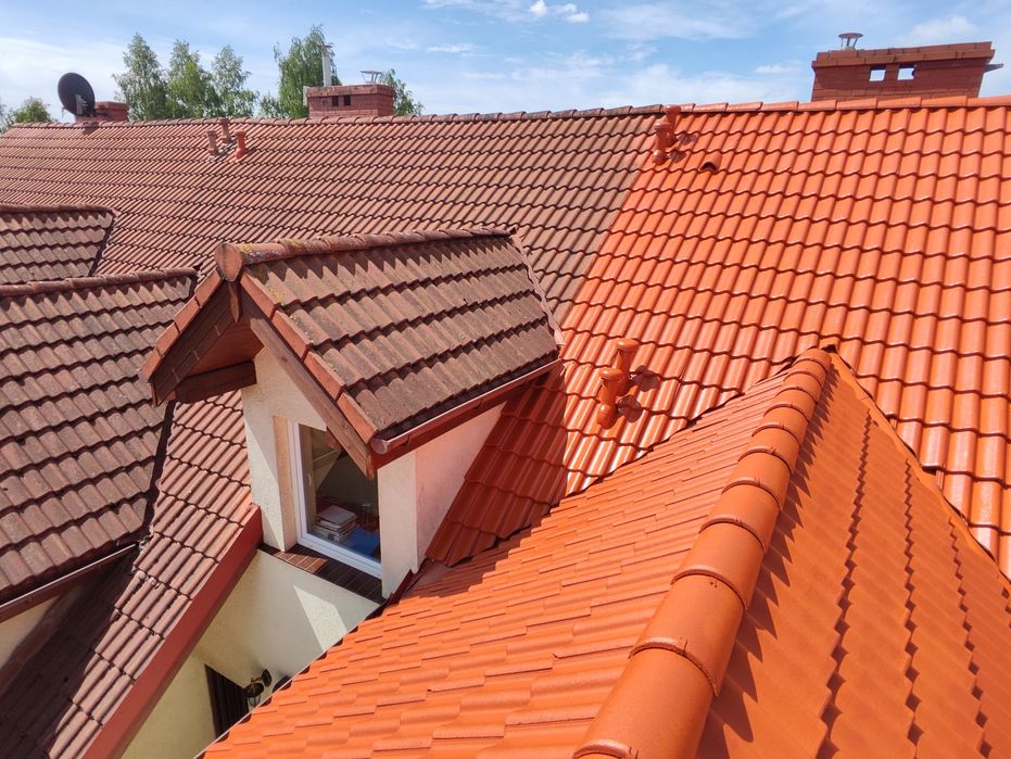 Malowanie Dachów i Elewacji mycie kostki  na terenie całej P