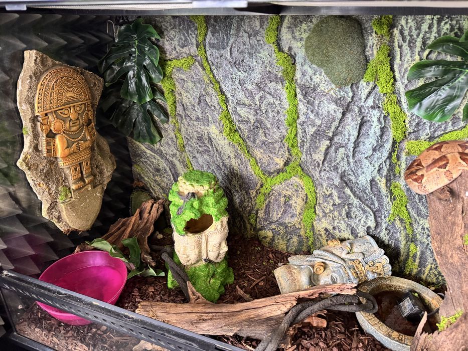 Sprzedam piękne terrariu exo terra z mieszkańcem