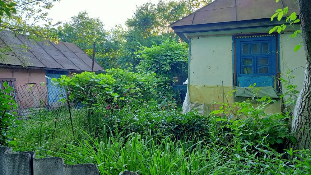 Простора садиба 0,5га (50сот.)біля  Брусилова (с.Ковганівка). Власник.
