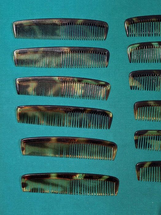 Lote de 12 Pentes Tayti 12cm, New Old Stock (NOS)