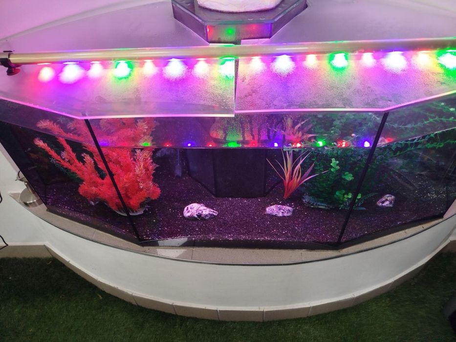 Великий акваріум на 345 л