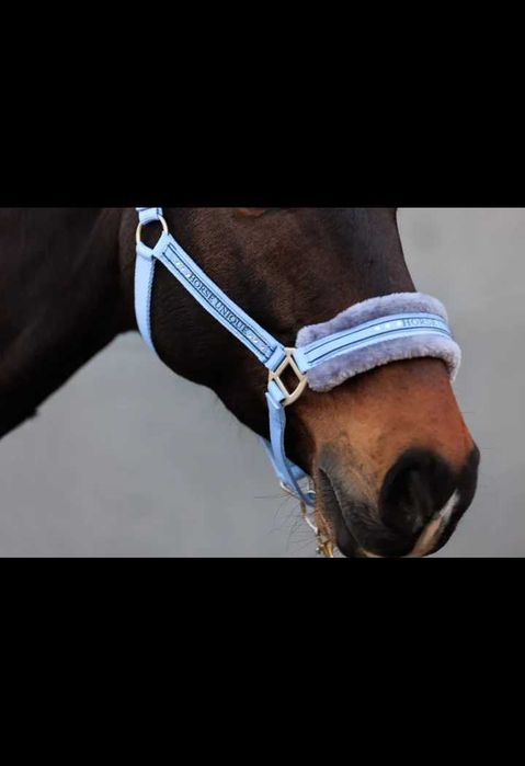 Kantar START Elegance niebieski Full