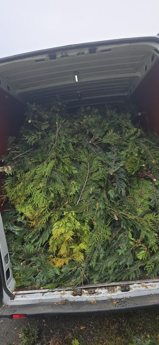 Wycinka drzew i skracanie żywopłotów.