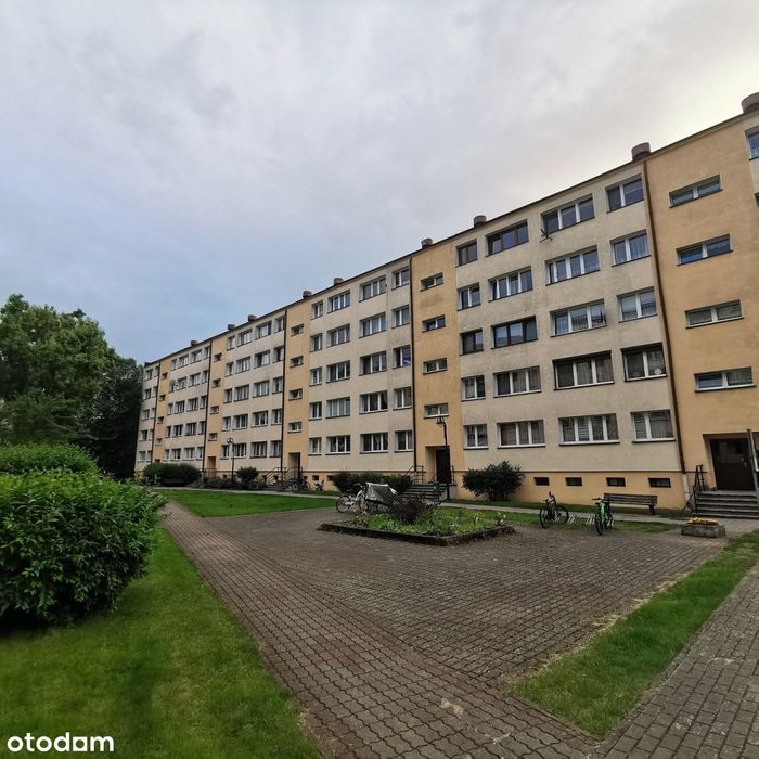 Mieszkanie 3-pok., niski czynsz- Złotów (centrum)