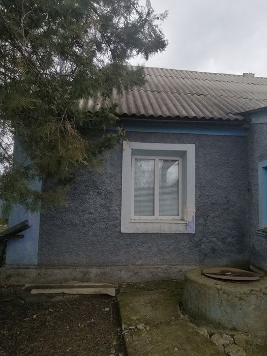 Будинок в Арбузинкі