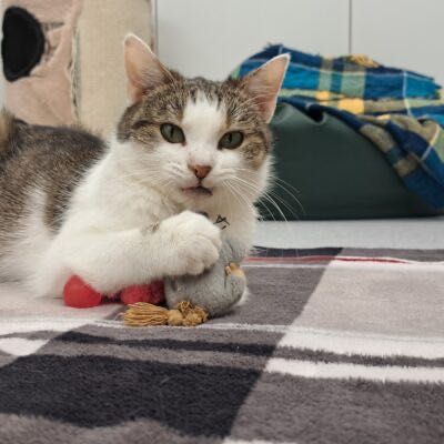 Doris szuka wspaniałej rodziny