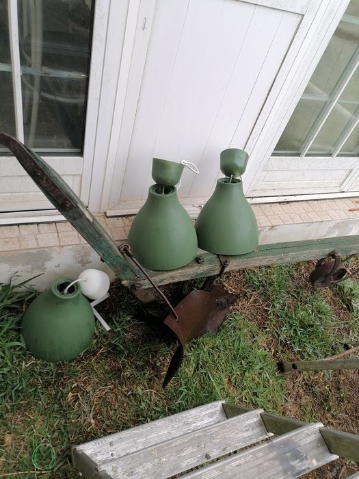 Charrua Para decoração de exteriores