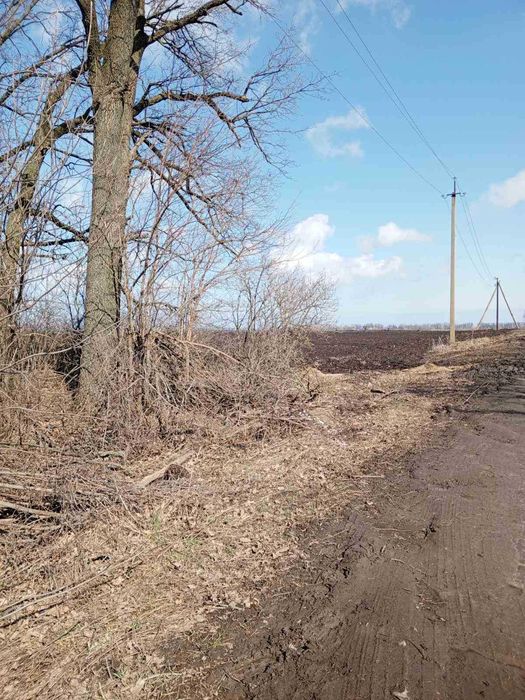 Продаж двох ділянок сг призначення в с. Леськи - Більше