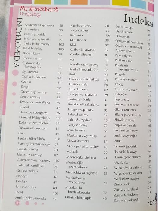 Encyklopedia na ścieżkach wiedzy 100 bezkręgowców, kwiatów, ptaków