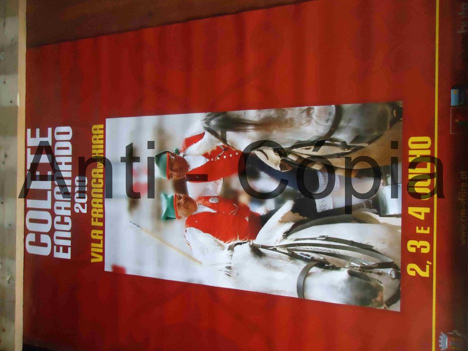 Estampas 70 x 100cm