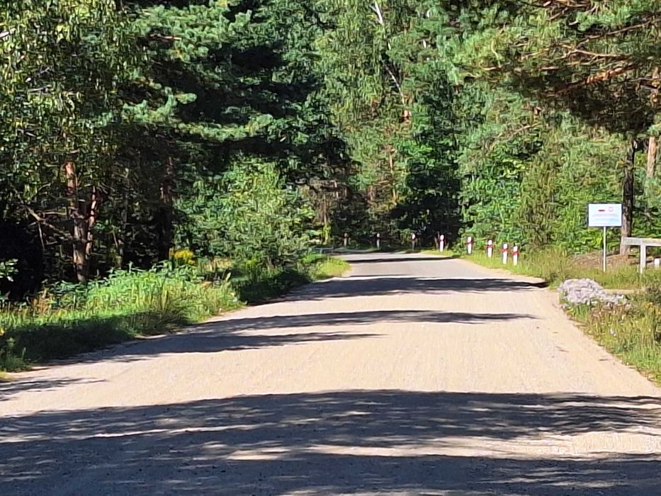 Niesamowita Działka w puszczy 8km od zalewu Siemianówka.