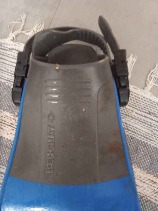 Barbatanas de mergulho com garrafas