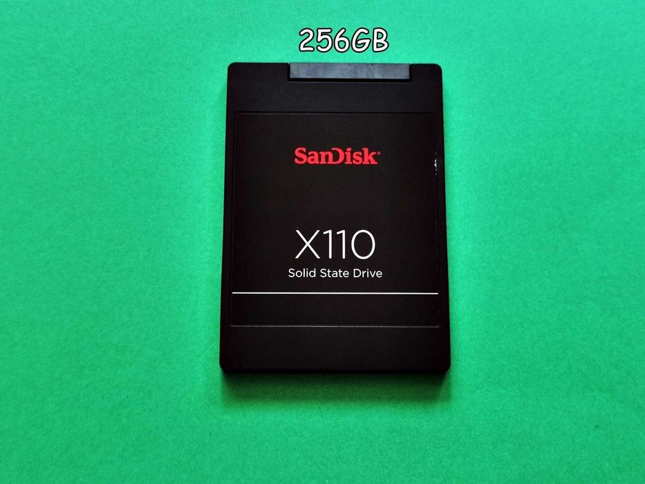 SSD 256GB SanDisk x110