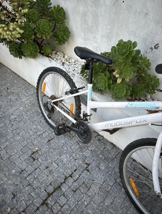 Bicicleta Synergy 24