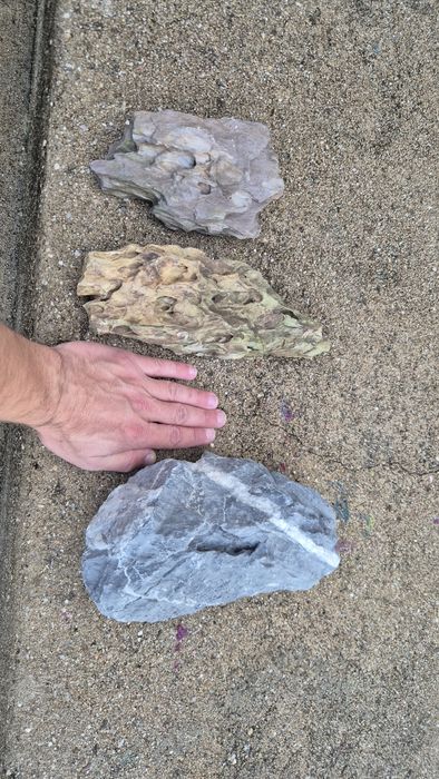 Rocha de aquario  Strideways