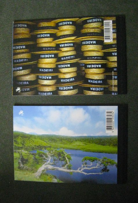 2009 – Carteira anual Nº5B – Madeira