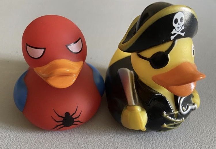 Funny ducks , качка  -  пірат