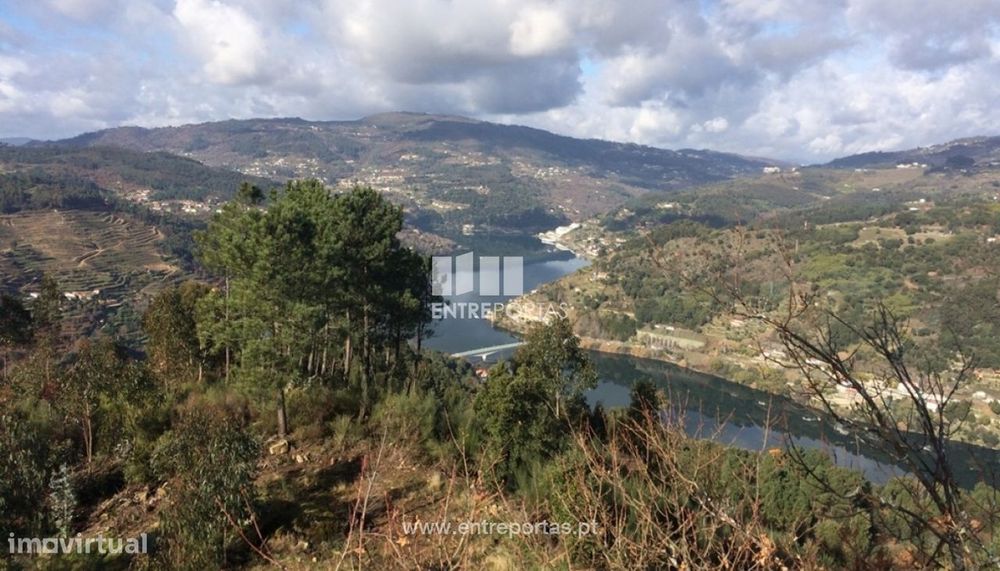 Venda Terreno, Oliveira do Douro, Cinfães
