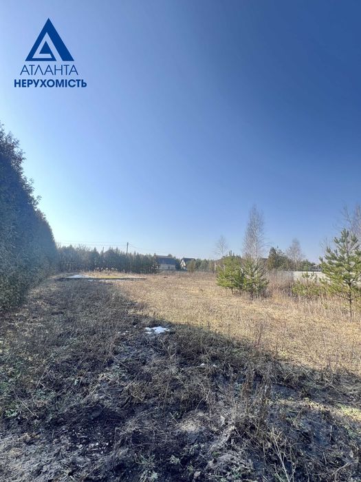Пропонуємо до продажу 2 суміжні земельні ділянки  в селі Озерце.