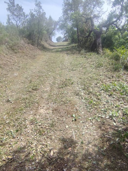 Trabalhos agrícolas e lar