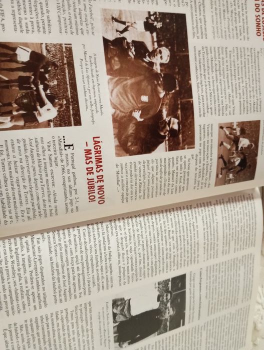 "Magriços" (Sobre o mundial de futebol de 1966)