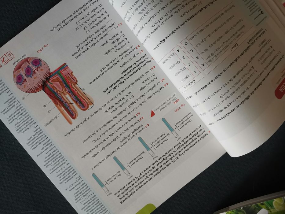 Manual novo + CA e outros Ciências naturais 9 ano"Liga te à vida"