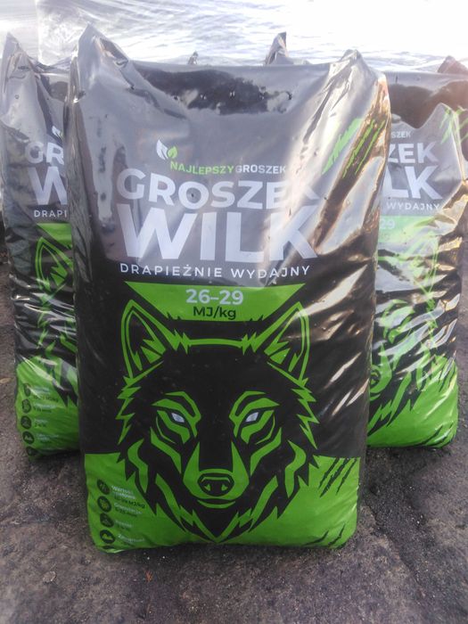 Groszek Wilk - Najlepszy z Najlepszych!!!