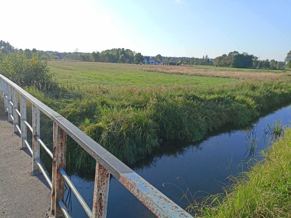 Działka z warunkami zabudowy. Małdaniec k. Szczytna - Widok 2