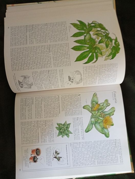 O Grande Livro das Plantas de Interior. Reader’s Digest. 1ª ed - 1982