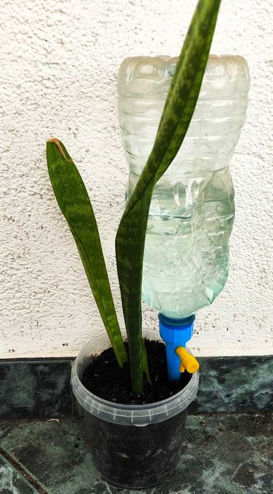 Zestaw do samonawadniania roślin