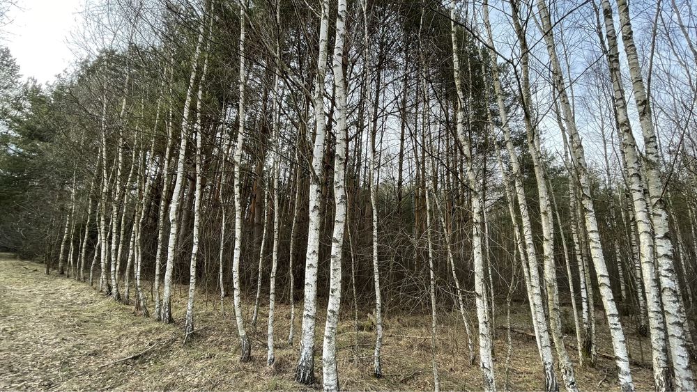 Działka rolno leśna 1,42 ha