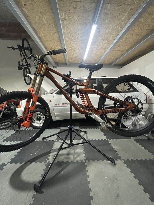 Scott gambler 2020