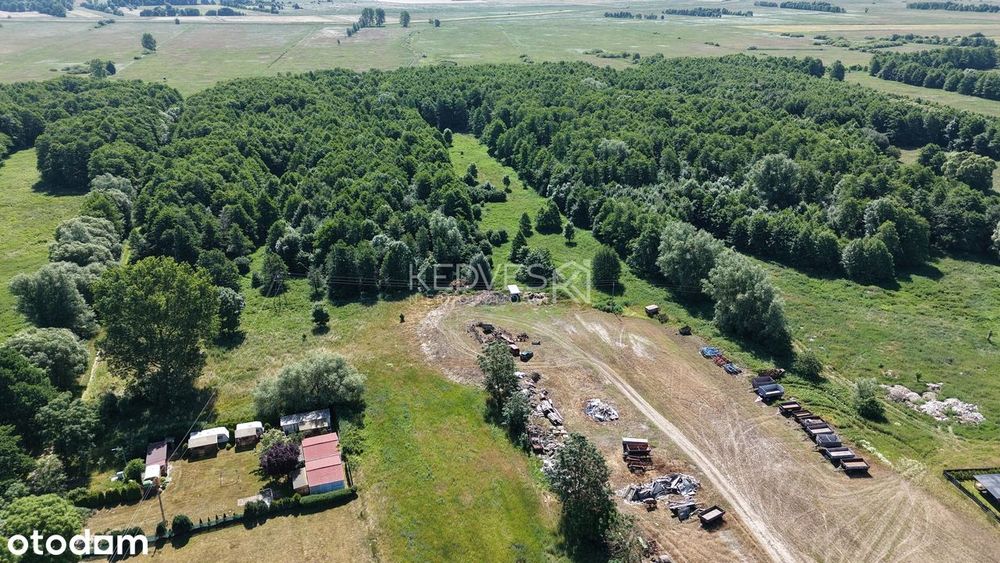 Działki pod budowę lub inwestycję | 2185 m² oraz 2765 m² | WZ | ŚLIWIN - Widok 3