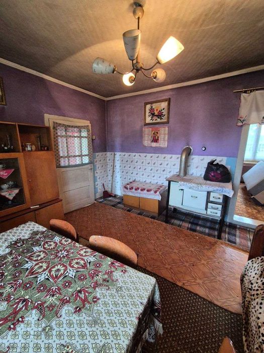 Продаж житлового будинку на ділянці 42 сотки в с. Бедевля