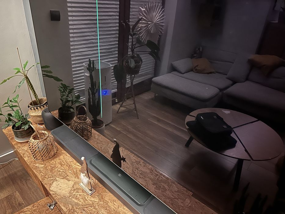 LG C9 65” - problem z panelem