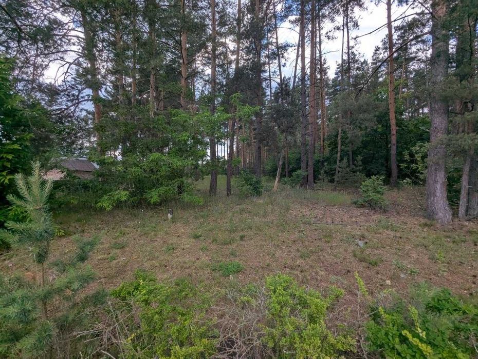 Продаж земельних ділянок у м. Васильків - Вид 2