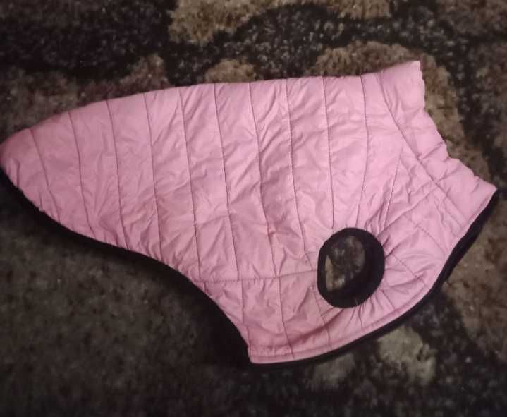 Жилет для собаки