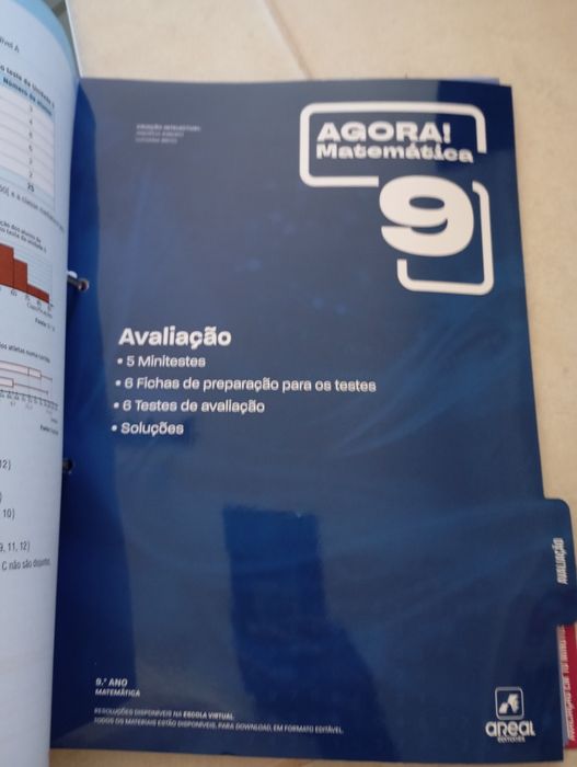 AGORA! Prova final 9, Exemplar do professor