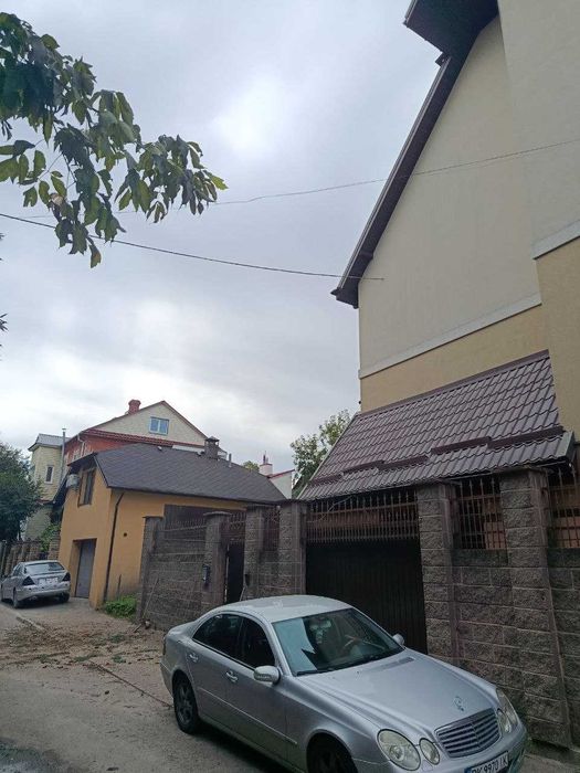 Зрізання дерев Рівне. Розчищення ділянок. Швидко та акуратно.