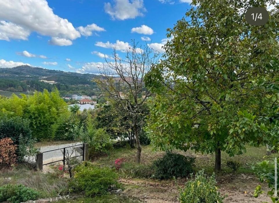 Vende-se quinta T2 com 8.980 m²