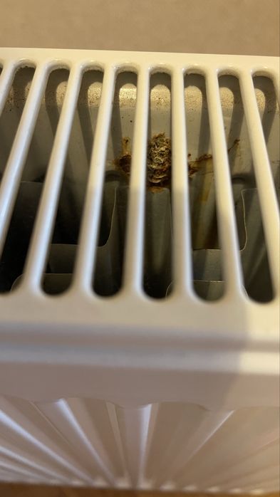 Продам радиатор отопоения  50/60