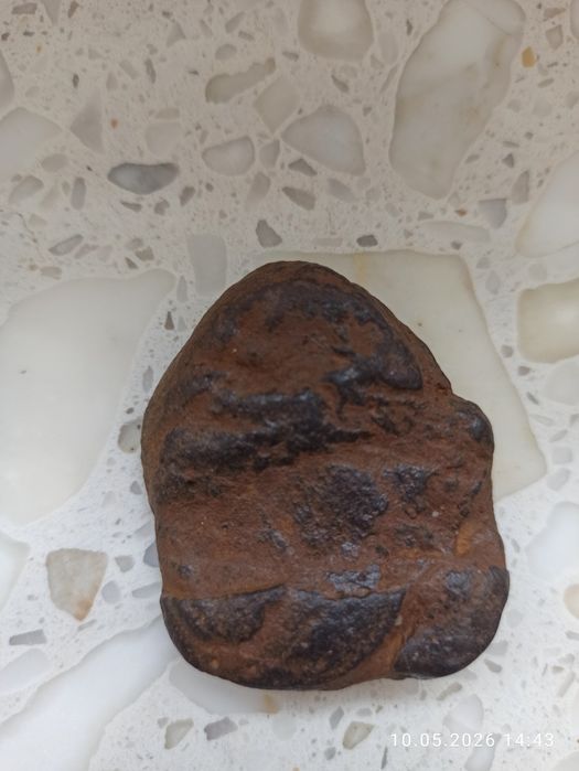 Skamieliny minerały