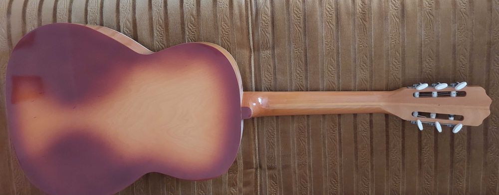 Gitara akustyczna Delfin