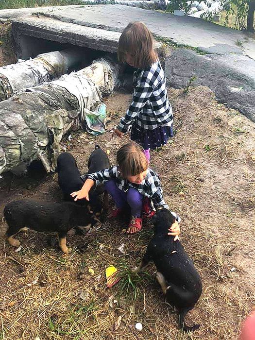 Супер класні цуценята в добрі руки!