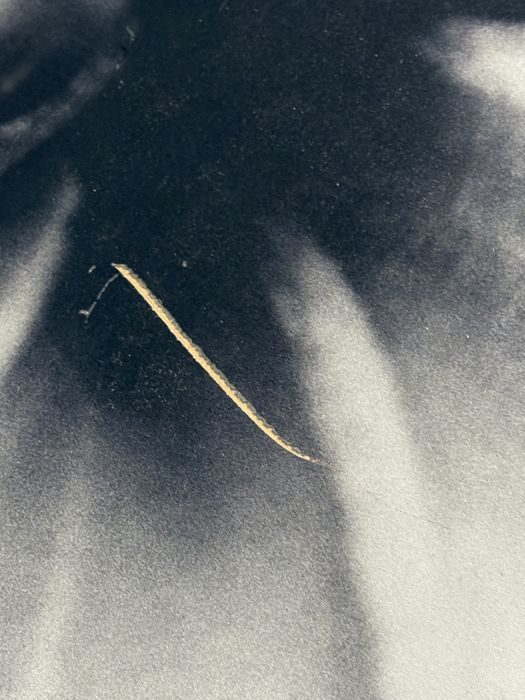 Kafle lazienkowe - dekor - kwiat