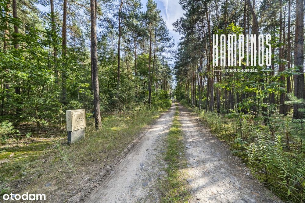 Działka pod dom w otoczeniu zieleni