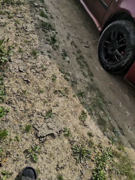 Шкода октавія 1.9тді