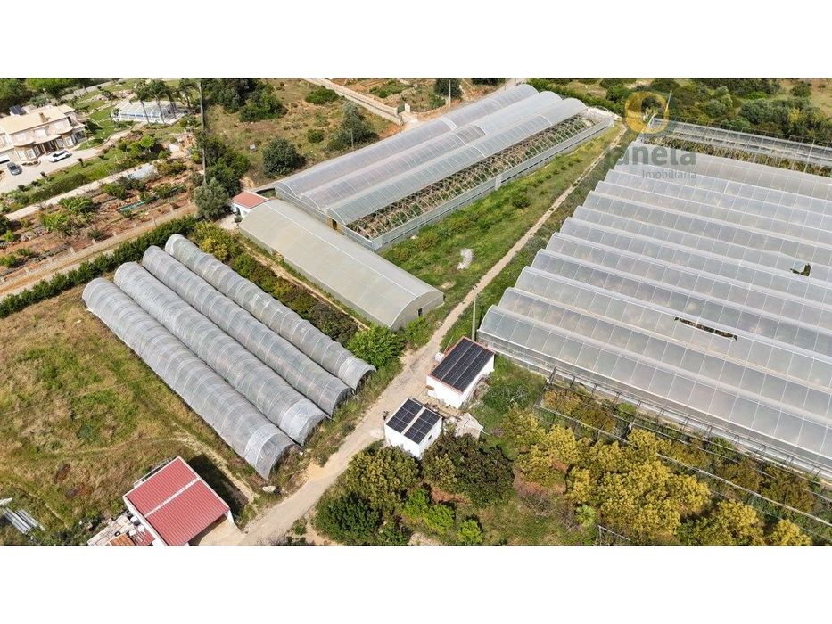 Quinta com uma área total de 4 ha, duas habitações com 300 m2, com ...